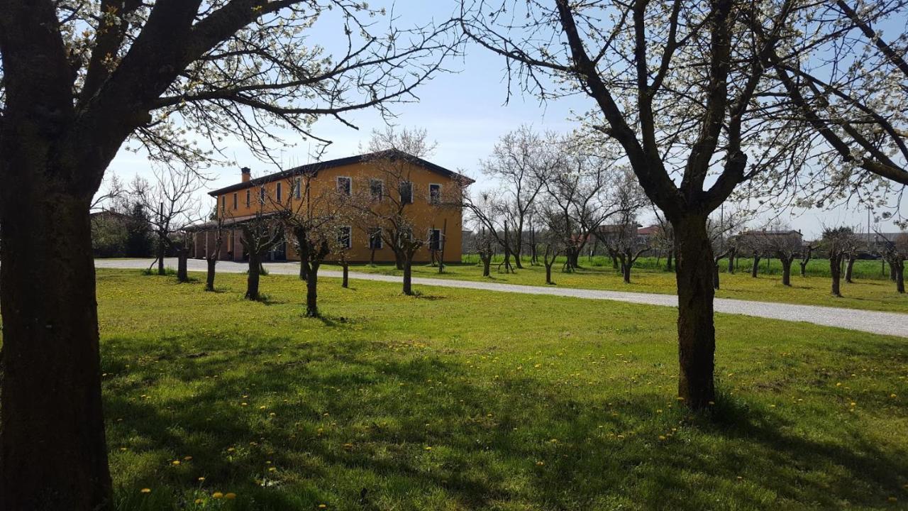 Agriturismo Borgo Borromeo Rubano Ngoại thất bức ảnh